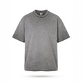 Earth Gray T-Shirt